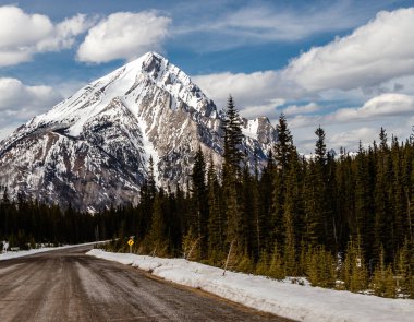 Arabadan inen dağlar. Sprey Vadisi İl Parkı. Alberta, Kanada