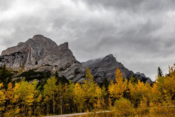 Осенние Цвета Подножия Горы Галатея Spray Valley Provincal Park Альберта — стоковое фото