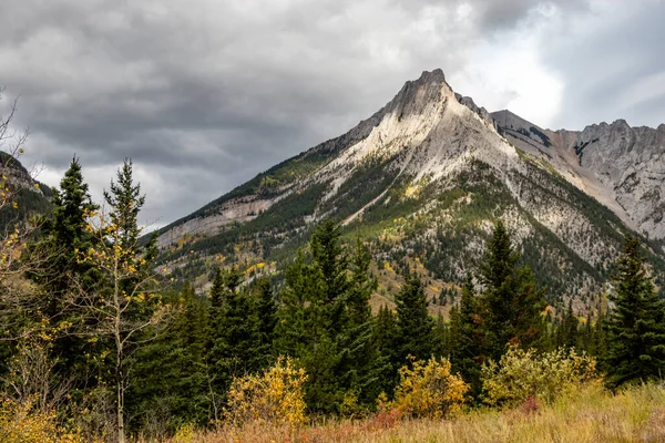 Herbstfarben Fuße Des Mount Allen Bow Valley Wilderness Area Alberta — Stockfoto