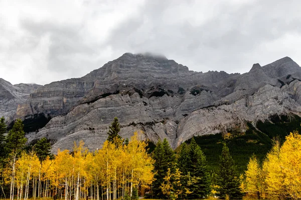 Cast Skies Fall Colours Mount Kidd Spray Valley Provincial Park — Stock Photo, Image
