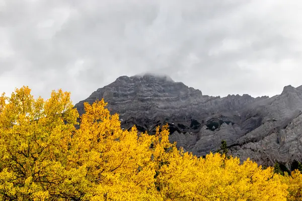 Cast Skies Fall Colours Mount Kidd Spray Valley Provincial Park — Stock Photo, Image