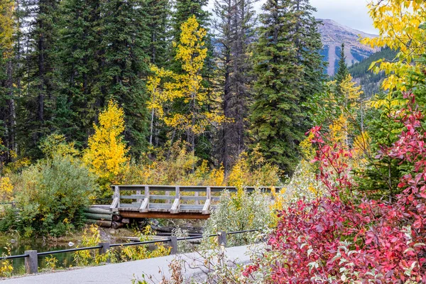 Houten Brug Lorette Vijvers Bow Valley Wilderness Area Alberta Canada — Stockfoto