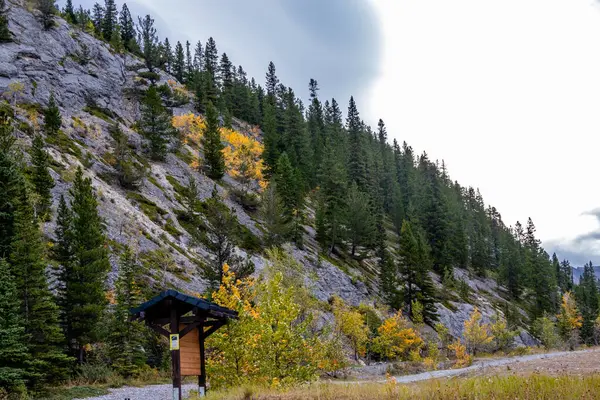 Herbstfarben Wasootch Creek Bow Valley Wilderness Area Alberta Kanada — Stockfoto