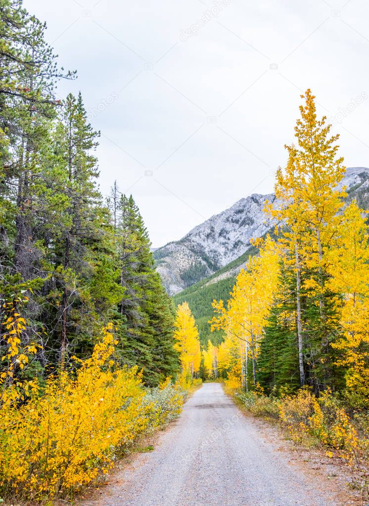 Roadway surrounded by fall colours at Mount Baldy Pass. Bow Valley Wilderness Area, Alberta, Canada