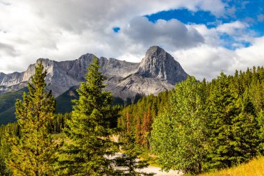 Parktan Rocky Dağları 'nın manzarası. Canmore Nordic PP, Alberta, Kanada
