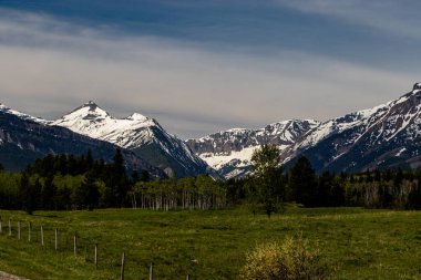 Castle Mountain Range 'in manzarası. Castle Mountain PP, Alberta, Kanada