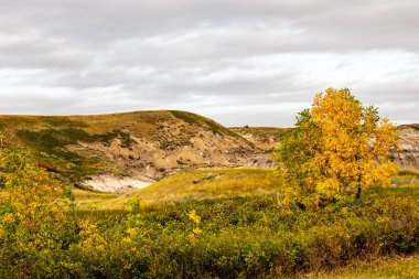 Çorak Topraklar 'a düş. Midland İl Parkı, Alberta, Kanada