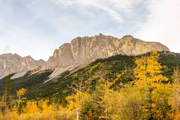 Fall Colours Mount Yamnuska Bow Valley Provincial Park Alberta Canada — Stock Photo, Image