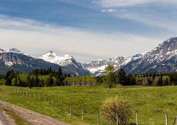 Castle Mountain Range 'in manzarası. Castle Mountain PP, Alberta, Kanada