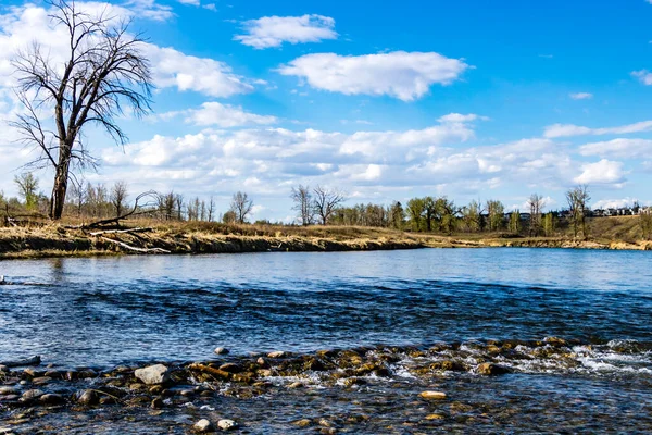 Bow Nehri parkın içinden akar. Fish Creek İl Parkı. Alberta, Kanada