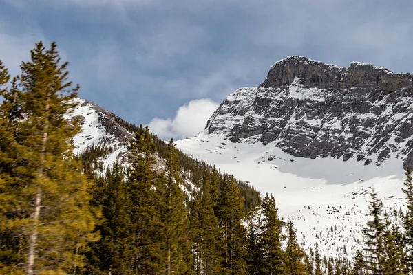 Berge Aus Dem Auto Spray Valley Provincial Park Alberta Kanada — Stockfoto