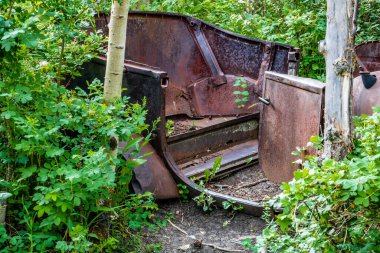 Çiftlikteki ormanda eski bir araba bulundu. Glenbow Çiftlik Bölgesi, Alberta, Kanada