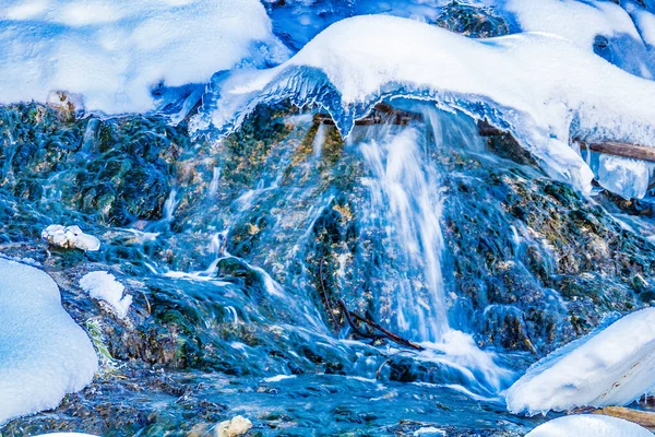 Parkta bir kar örtüsü kararır. Big Hill Springs İl Rekreasyon Bölgesi. Alberta, Kanada