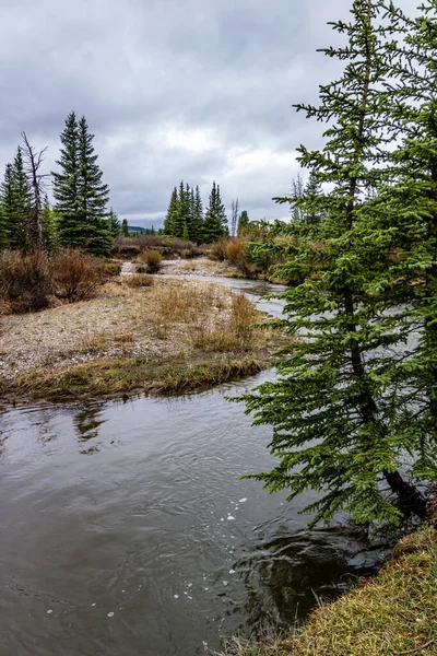 Elk Creek Como Verano Convierte Otoño Zona Recreación Provincial Elk —  Fotos de Stock
