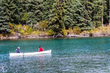 Nehirdeki kanocular. Marsh Loop, Banff Ulusal Parkı, Alberta, Kanada