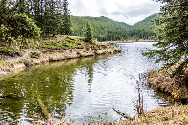 Přes Jarní Prázdniny Jezeře Peppers Lake Provincial Recreation Area Alberta — Stock fotografie