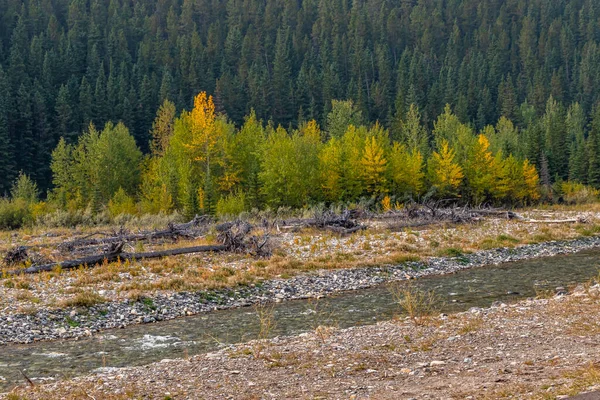 Low river in fall. Sentinel Provincial Recreation Area, Alberta, Canada