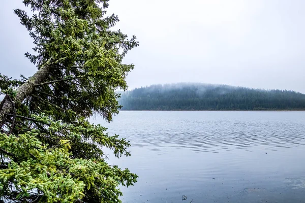 Poslední Dny Zimy Vznášejí Nad Jezerem Labutí Jezero Provinční Rekreační — Stock fotografie