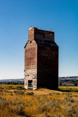Ovaların görkemli ahşap devleri. Bazıları hala çok eski bir çağın simgesi olarak duruyor..
