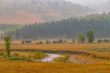 Kasabanın üzerinde puslu dumanlı gökyüzü. Ranchlands MD 'si, Alberta, Kanada