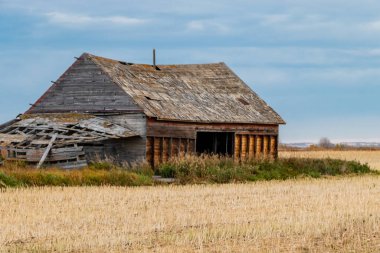 Kırsal çiftlik binaları hala ayakta ve bazıları bölgenin tarihini göstermekten vazgeçti. Mountainview County, Alberta, Kanada