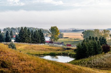 Çiftçilerin havuzları dökülüyor. Rockyview County, Alberta, Kanada
