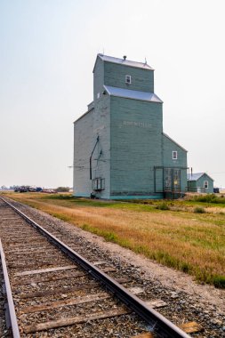 Ovaların görkemli ahşap devleri. Bazıları hala çok eski bir çağın simgesi olarak duruyor..
