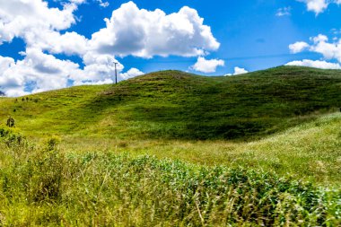 Dargaville, Yeni Zelanda çevresinde geniş açık manzaralar