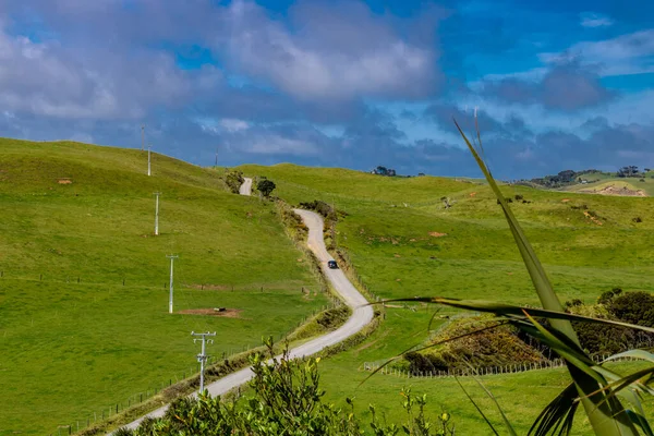Road to the lighthouse. Manakua Heads, Auckland, New Zealand