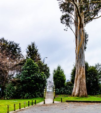 Taupo Gölü, Taupo Gölü, Yeni Zelanda