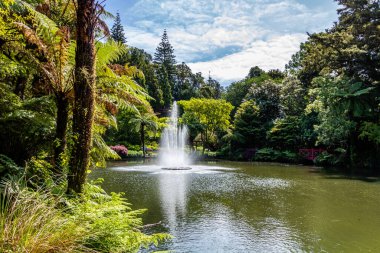 Gölün ortasındaki çeşme havaya su fırlatır. Pukekura Parkı, Taranaki, Yeni Zelanda
