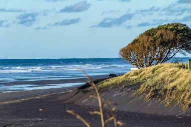 Yuvarlanan dalgalar, siyah kum ve parlak yeşil bitki örtüsü sahile yapılan ziyaretin altını çiziyor. Taranaki, Plaj, Taranaki, Yeni Zelanda