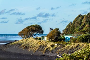 Yuvarlanan dalgalar, siyah kum ve parlak yeşil bitki örtüsü sahile yapılan ziyaretin altını çiziyor. Taranaki, Plaj, Taranaki, Yeni Zelanda