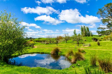 Film setinden Hobbiton 'a doğru yürürken görülecek ve bakılacak çok şey var. Matamata, Waikato, Yeni Zelanda
