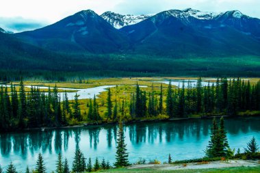 Bow nehri sonbahar renklerinin altında. Banff Ulusal Parkı, Alberta, Kanada