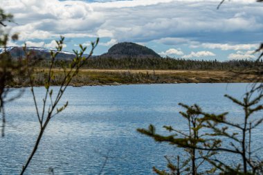 Berryhill Pond 'un etrafındaki bir yürüyüşten görüntüler. Gros Morne Ulusal Parkı, Newfoundland, Kanada