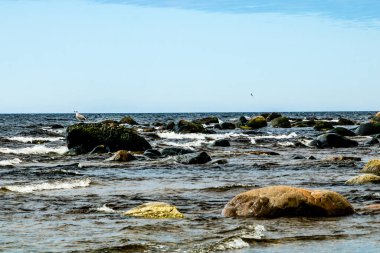 Fırtınalı bir günde Baker Creek. Gros Morne Ulusal Parkı, Newfoundland, Kanada