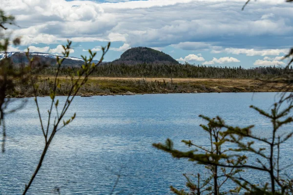 Výhled Procházky Kolem Berryhill Pond Gros Morne National Park Newfoundland — Stock fotografie