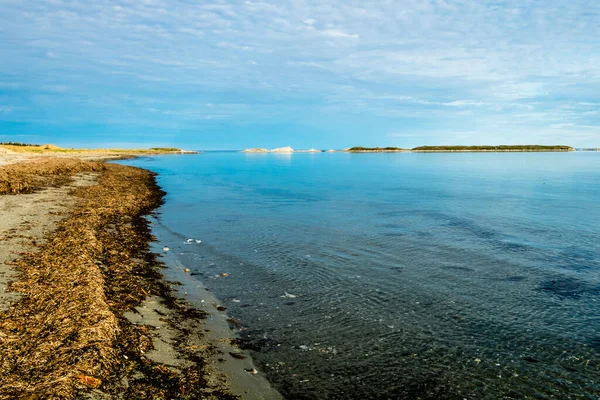 Bellsdownes Islands Gros Morne National Park Newfoundland Canada — Stock Photo, Image