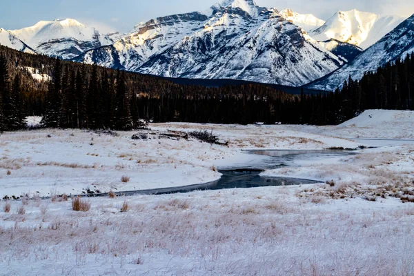 Creek Fluindo Para Cordilheira Paliser Vale Banff National Park Alberta — Fotografia de Stock