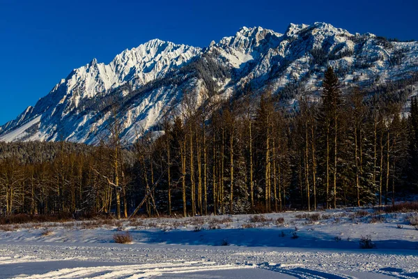 Sawback Range Contra Cielo Azul Brillante Parque Nacional Banff Alberta —  Fotos de Stock