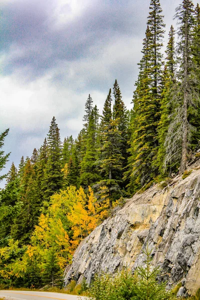 Colori Autunnali Intorno Laghi Vermillion Banff National Park Alberta Canada — Foto Stock