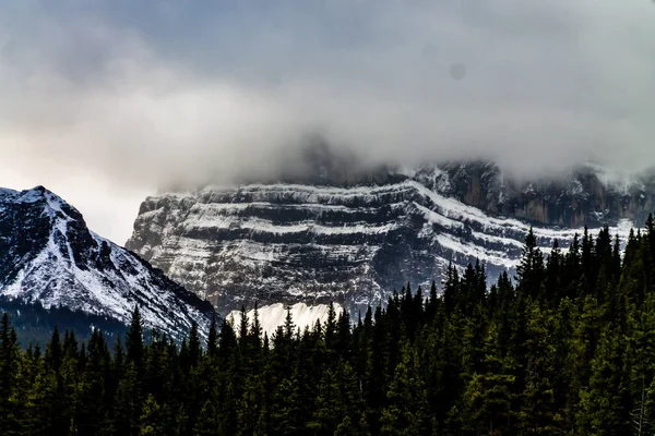 Late Summer Waterfowl Lakes Banff National Park Alberta Canada Stock Picture