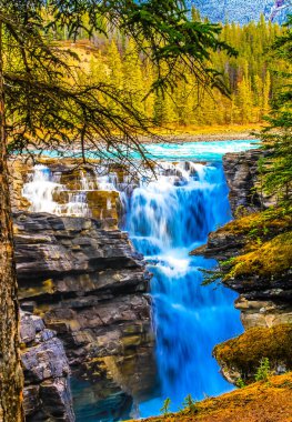 Athabaska Şelaleleri, Jasper Ulusal Parkı, Alberta, Kanada.
