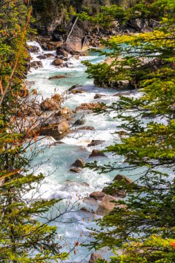 Takakka Nehri, Yoho Ulusal Parkı, BC, Kanada