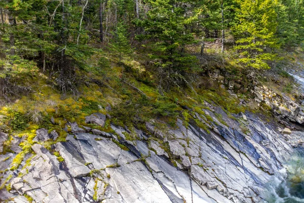 Utsikt Över Waterton Från Roadisde Waterton Lakes National Park Alberta — Stockfoto