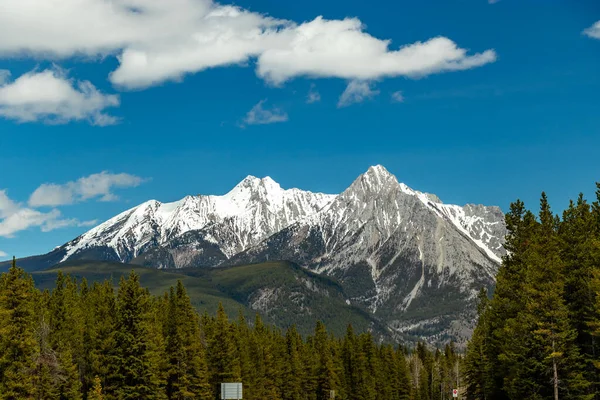 Pogódź Się Tym Bow Valley Wilderness Area Alberta Kanada — Zdjęcie stockowe