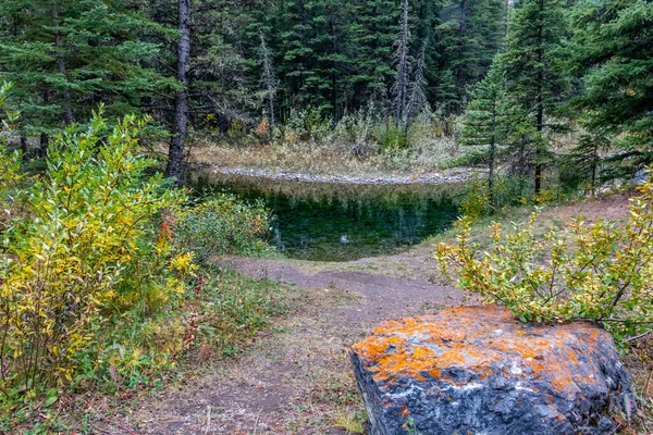 Cores Queda Beaver Ponds Bow Valley Wilderness Area Alberta Canadá — Fotografia de Stock