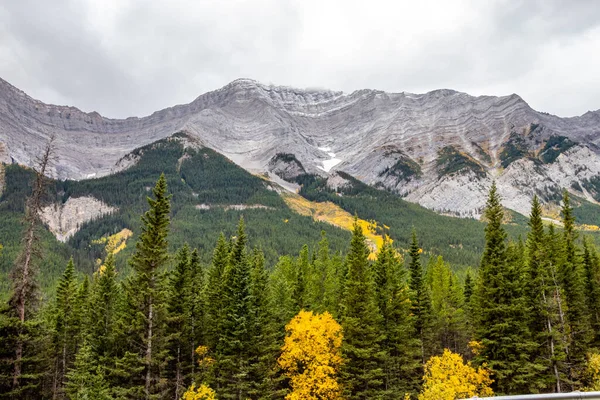 Осенние Цвета Подкрадываются Крепости Провинциальный Парк Spray Valley Альберта Канада — стоковое фото