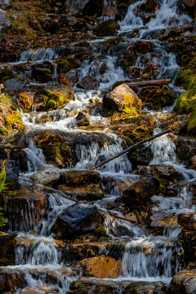 Herbstfarben Den Shaunessy Falls Bow Valley Wilderness Area Alberta Kanada — Stockfoto